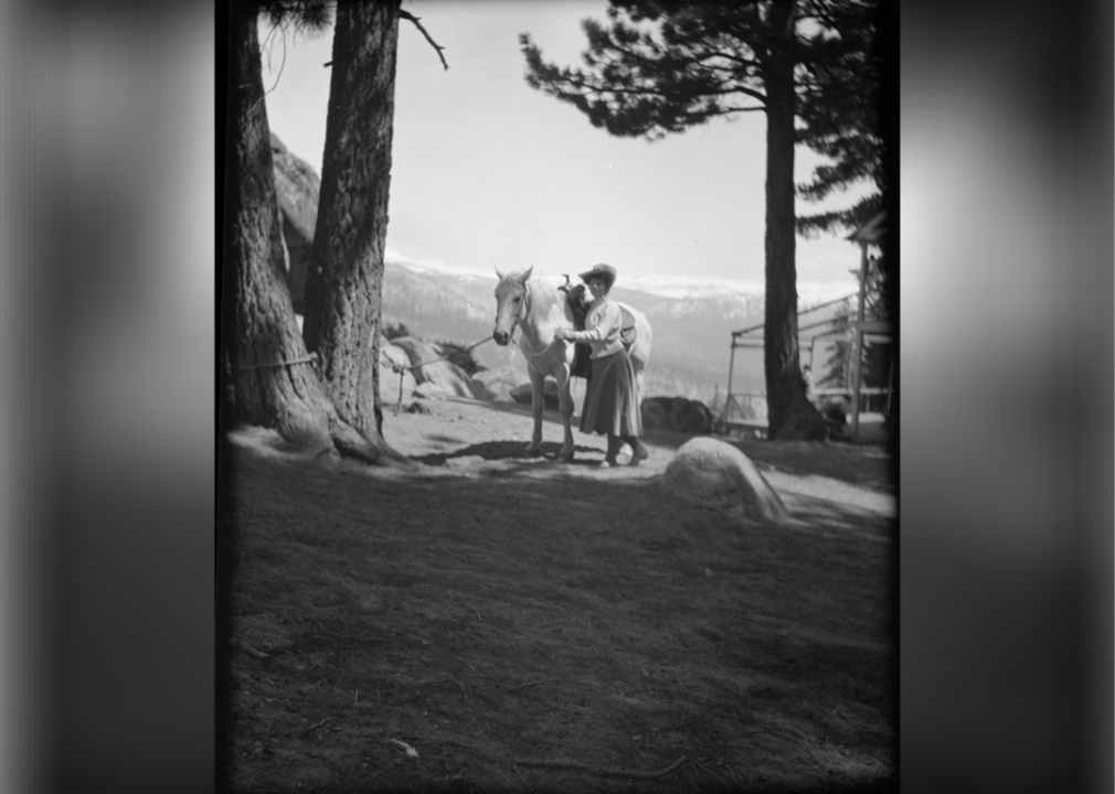 Travel views of Yosemite National Park